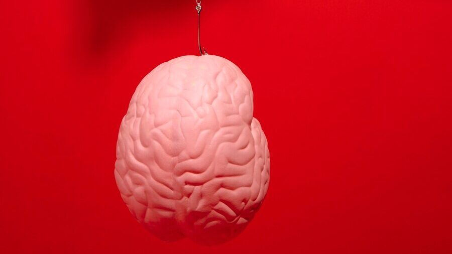 Adult Toys Affect the Brain